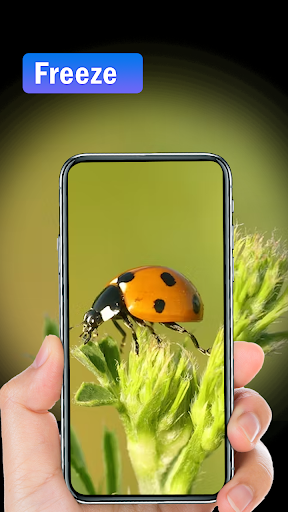 Ultimate Magnifier Glass