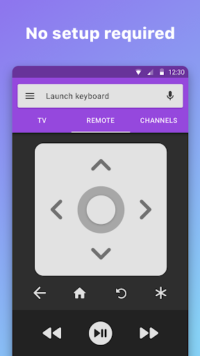 Roku Remote Control: RoByte