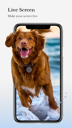 HD Wallpaper Hub - 4K, Live