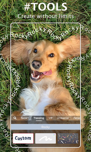 Meitu- Photo & Video Editor