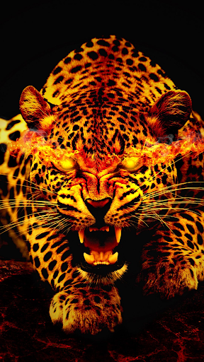 Wallpaper 4K, HD – Wallcraft