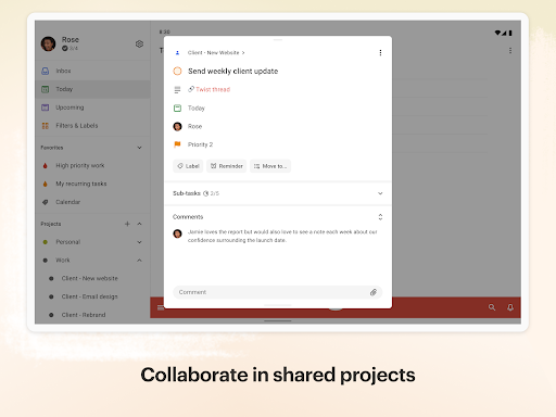 Todoist: to-do list & planner
