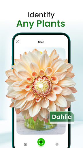 Florify: AI Plant Identifier