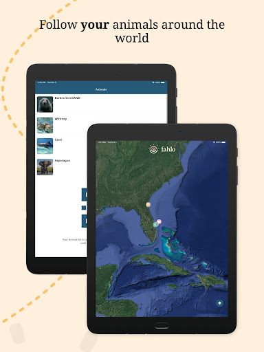 Fahlo Animal Tracker