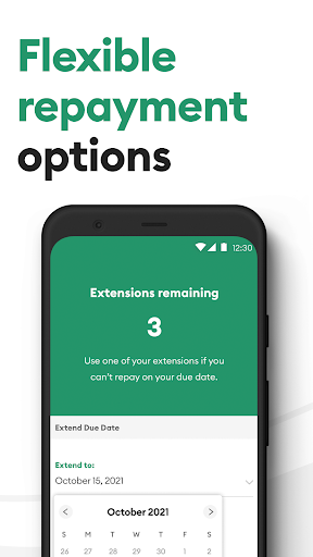 Brigit: Cash Advance & Credit