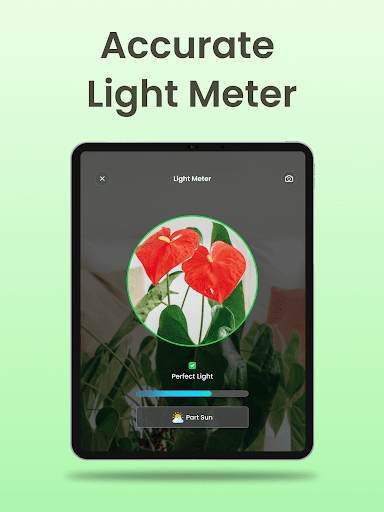 Plant Identifier App Plantiary
