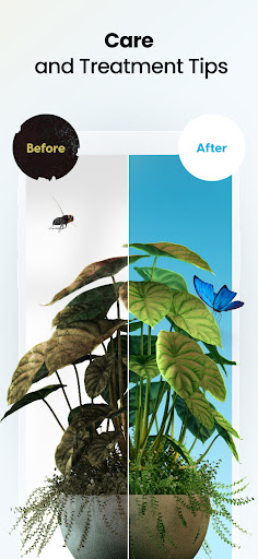Plant App - Plant Identifier