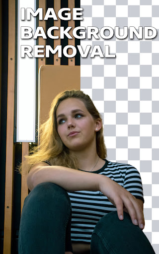 Video Background Remover