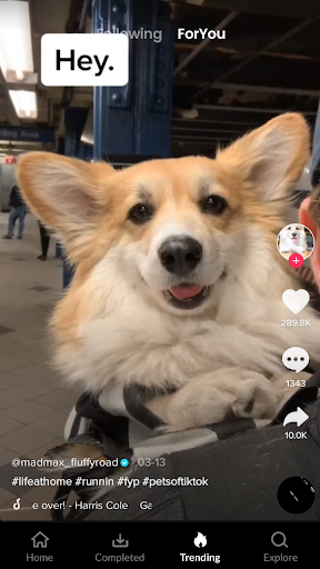 Downloader for Tiktok - Tmate