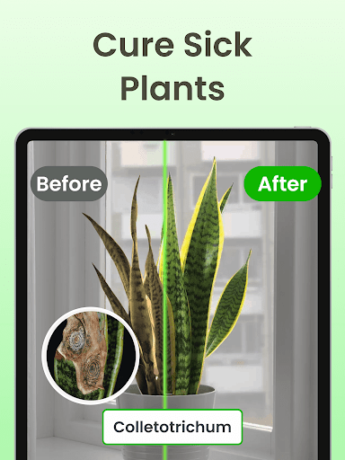 Plant Identifier App Plantiary