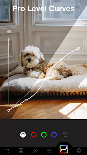 Photo Editor - Lumii