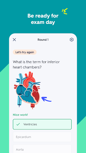Quizlet: More than Flashcards