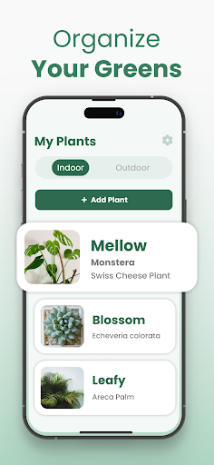 Plantify: Plant Identifier