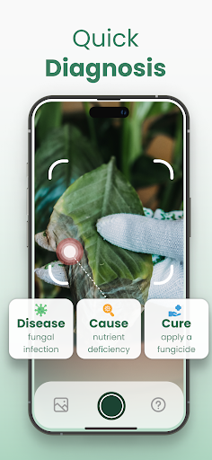 Plantify: Plant Identifier