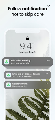 Plant App - Plant Identifier