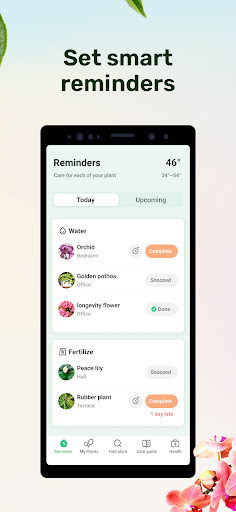 Plant Parent: Plant Care Guide