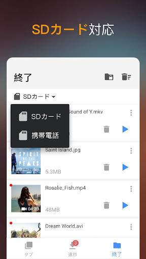 Video Downloader