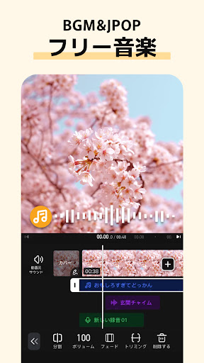 VivaVideo - Video Editor&Maker