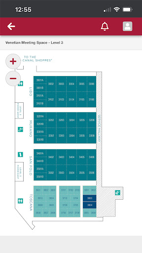 Domino’s Worldwide Rally