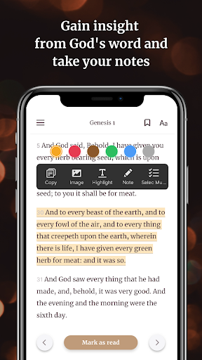 Bible Offline-KJV Holy Bible