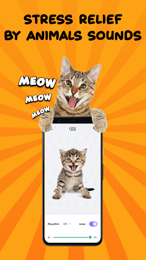 Air Horn: Funny Prank Sounds