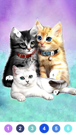 Fancy Color - Paint By Number