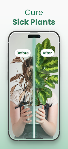 Plantify: Plant Identifier