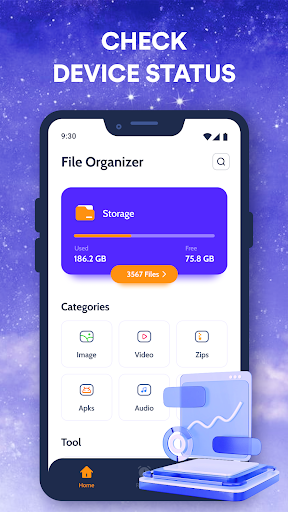 File Organizer
