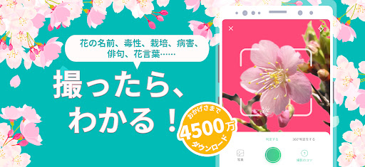 PictureThis - Plant Identifier