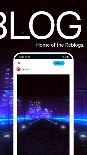 Tumblr—Fandom, Art, Chaos