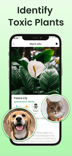 Plant Identifier App Plantiary