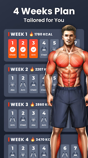 Home Workout - No Equipment