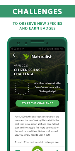 Seek by iNaturalist