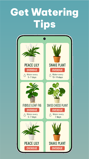 LeafCheck: Plant Identifier