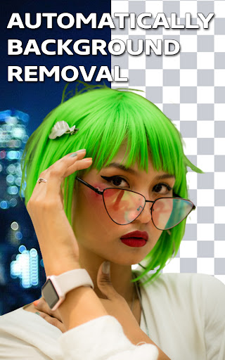 Video Background Remover