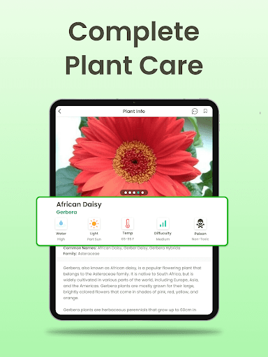 Plant Identifier App Plantiary