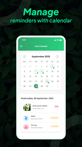 LeafSnap Plant Identification