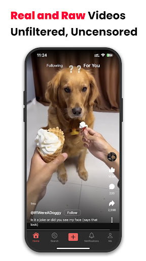 Bloom: Real Life, Real Videos