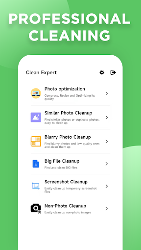 File Cleanup Expert
