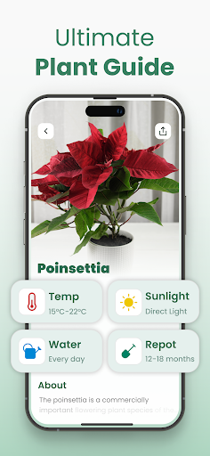 Plantify: Plant Identifier