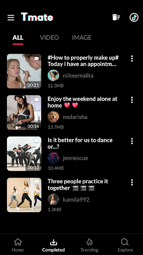 Downloader for Tiktok - Tmate