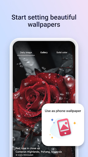 Microsoft Start: News & more