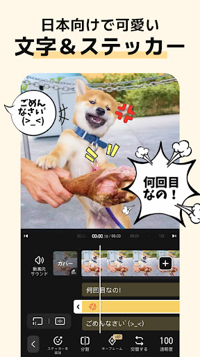 VivaVideo - Video Editor&Maker