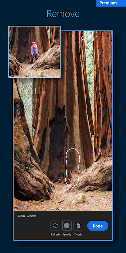 Lightroom Photo & Video Editor