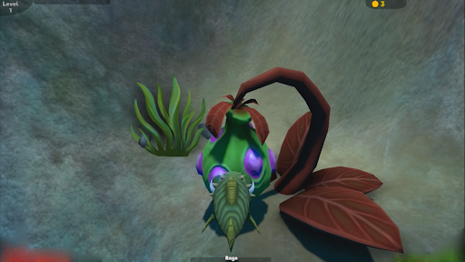 Tips : Feed And Grow Fish