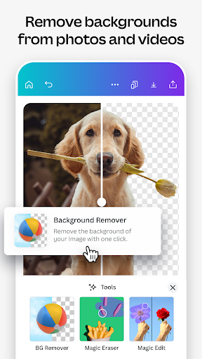 Canva: AI Photo & Video Editor