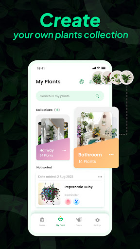 LeafSnap Plant Identification