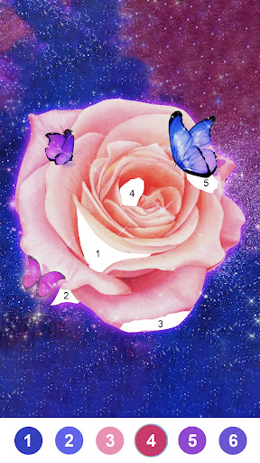 Fancy Color - Paint By Number