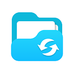 EasyRecover - Restore All