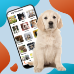 Pet Translator Prank Simulator